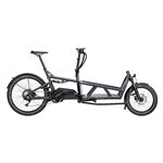 Riese & Müller R+M Load 60 touring gr 2xKS nied. Seit. Gep. Schlo