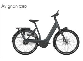 Gazelle AVIGNON C380 - 800Wh - Wave (teal grey matt)