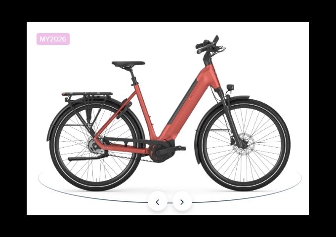 Gazelle ULTIMATE C5+ - 600Wh - Wave