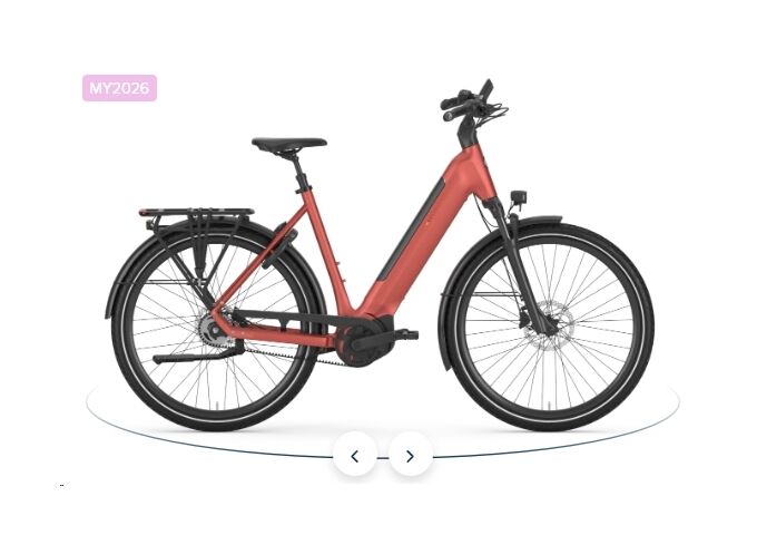 Gazelle ULTIMATE C5+ - 600Wh - Wave