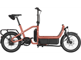 Riese & Müller Carrie2 automatic  725Wh/RX/Kiox 300/Cargo Kit (coral)