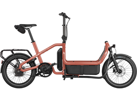 Riese & Müller Carrie2 automatic  725Wh/RX/Kiox 300/Cargo Kit (coral)