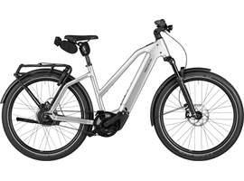 Riese & Müller Charger5 Mixte vario - 800Wh - Kiox (magnesium)