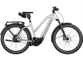 Riese & Müller Charger5 Mixte vario - 800Wh - Kiox (magnesium)