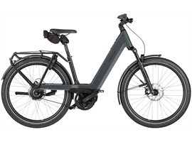 Riese & Müller Nevo5 vario - 800Wh (Slate Grey / Lime Green)