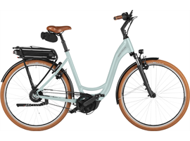 Riese & Müller Swing5 vario  26" /500Wh/Kiox 300 (salvia matt)