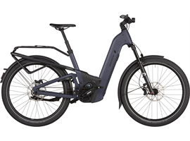 Riese & Müller Homage5 GT pinion 800WH Gep.Tr. Schl.+kette RX (night)