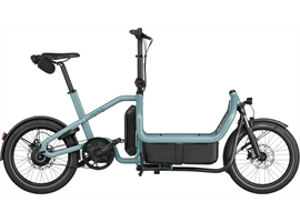 Riese & Müller Carrie2 vario - 725Wh-Kiox 300-Family Kit Plus-GS (aqua)
