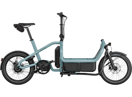 Riese & Müller Carrie2 vario - 725Wh-Kiox 300-Family Kit Plus-GS (aqua)