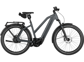 Riese & Müller Charger5 Mixte vario - Offroad (Slate Gray)