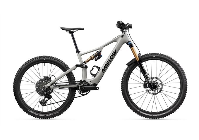 Amflow PX Carbon Pro - 700Wh - Diamant