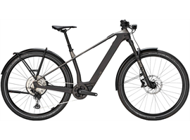 Bulls SONIC SX DAKAR - 400Wh - Diamant (monza grey / UD carbon)
