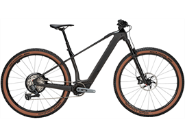 SONIC SX 2 - 400 Wh - Diamant (UD Carbon - Black)