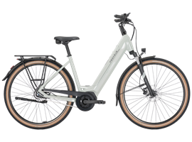 Pegasus SOLERO EVO 8F - 625 Wh - Wave (sage)
