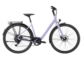 Pegasus Codo SL 8 - Wave