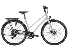 Pegasus Codo SL 8 - Trapez