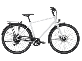Pegasus Codo SL 8 - Diamant